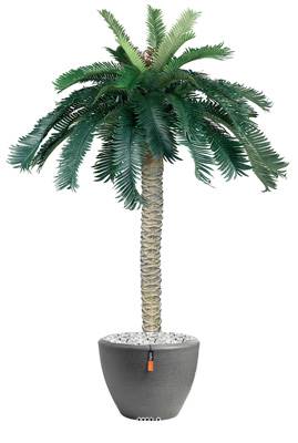 Palmier factice Cycas en pot tronc Haut H 120 cm Vert