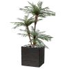 Palmier Cycas 3 Troncs en pot 160cm superbe de realisme