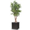 Aralia Arbre factice H 165 cm D 80 cm Feuillage Anti-UV dans un pot