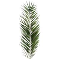 Feuille de palmier Phoenix artificielle en tergal H 150 cm Vert