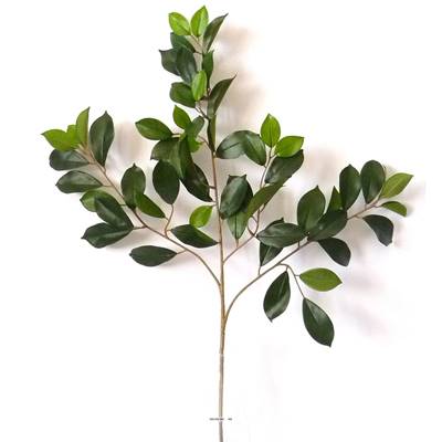 Branche de ficus artifiel Retusa H 65 cm