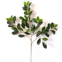 Branche de ficus artifiel Retusa H 65 cm