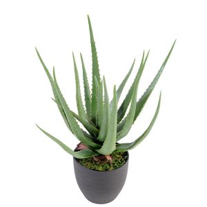 Aloe Vera factice H 60 cm cactus plante grasse dans un pot pvc