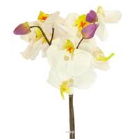 Bouquet de fleurs artificielles Orchidee H 33 cm 3 tiges Crème