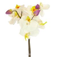 Bouquet de fleurs artificielles Orchidee H 33 cm 3 tiges Crème
