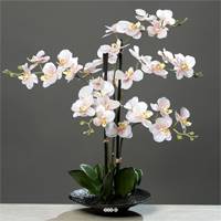 Orchidee factice 5 hampes en coupe H 66 cm toucher reel Rose-crème