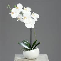 Orchidee factice 1 hampe en coupe ceramique H 40 cm toucher reel Blanc neige