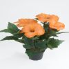 Hibiscus factice dans un pot H 38 cm 6 tetes Orange Safran
