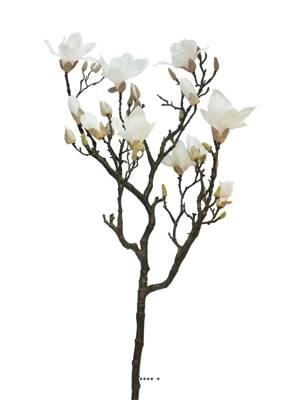 Branche de Magnolia factice, 2 ramures, H 128 cm, Rose-crème