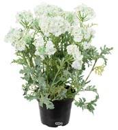 Verveines fleuries factices en pot, H 28 cm, Crème