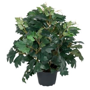 Cissus en pot factice D 23 cm, H 35 cm