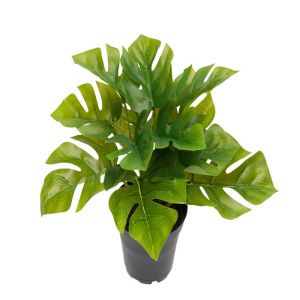 Philodendron factice Monstera feuilles ouvertes H 17 cm D 21 cm en pot leste