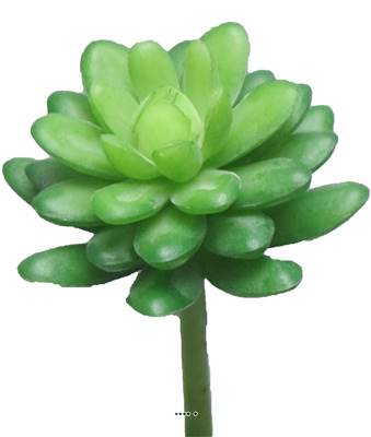 Succulent factice, Echeveria sur tige, H 16 cm, D 12 cm, Vert