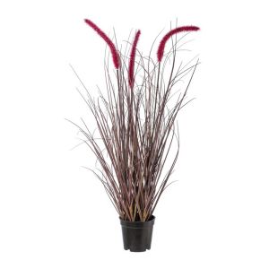 Fausse herbe graminée en pot H 73 cm 