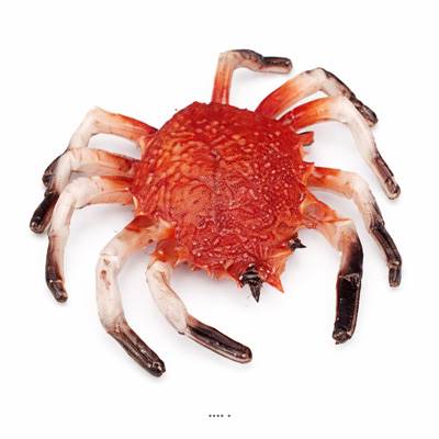 Araignée de mer factice L 220x200 mm plastique soufflé