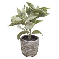 Herbe aromatique artificielle Sauge H 26 cm