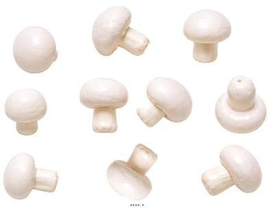 Champignons décoratifs factices blanc rosé x10