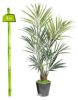Palmier Kentia factice H 200 cm 192 feuilles factices