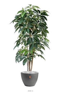 Schefflera factice en pot Iroto tronc naturel superbe densite H 180 cm Vert