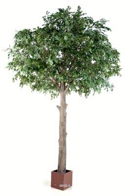 Chene arbre factice H 210 cm L 120 cm tronc naturel en pot