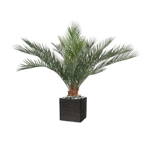 Palmier Phoenix factice H 130 cm D 165 cm 18 palmes dans un pot Outdoor