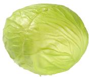 Salade Iceberg factice D 15 cm touché réel