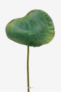 Feuille de lotus artificielle D 17 cm H 70 cm superbe