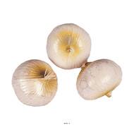 Oignons blancs factices x3 H 75x60 mm plastique soufflé