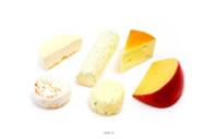 Lot de 6 Fromages assortis chèvre factices plastique soufflé