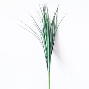 Isolepsis factice Vert H 90 cm magnifique graminee herbe de savane