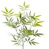 Branche de Bambou factice H 70 cm D 40 cm anti UV en plastique PE exterieur