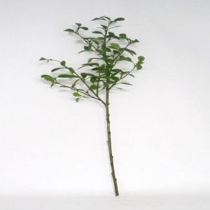 Troene Vert artificiel en branche H 105 cm avec 113 feuilles tissu