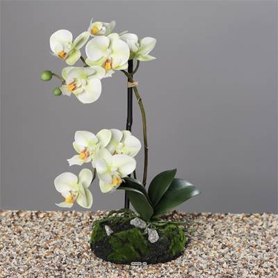 Orchidee artificielle 2 hampes sur motte H 33 cm 9 fleurons tissu Blanc-vert