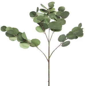 Branche factice d'eucalyptus, H 88 cm