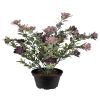 Succulente fleurie factice en pot, cactée fleurie Violet H 30 cm D 25 cm en plastique