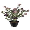 Succulente fleurie factice en pot, cactée fleurie Violet H 30 cm D 25 cm en plastique