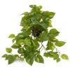 Pothos factice en pot, feuillage retombant L 55 cm