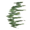 Guirlande factice ramifiée de feuilles de Peperomia H 180 cm magnifique