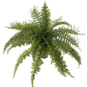 Fougère des forêts polypode factice en pot, H 45 cm