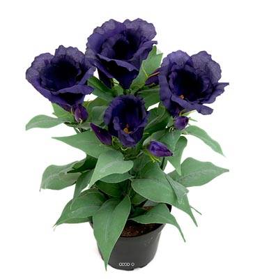 Eustoma à grandes fleurs factice en pot, 4 têtes, H 30 cm, Mauve violet