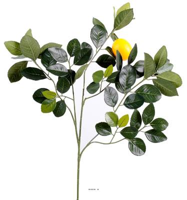 Branche de citronnier avec citron - H 60 × L 40 cm - 58 feuilles