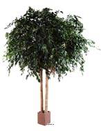 Ficus Exotica 2 troncs factice Vert H 350 cm L 250 cm 12216 feuilles en pot