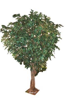 Ficus Benjamina Geant factice H 350 cm L 220 cm 9280 feuilles sur platine