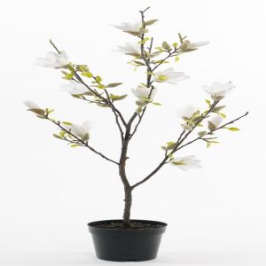 Magnolia factice en pot, fleurs crème, H 85 cm