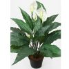 Spathiphyllum factice dans un pot H 43 cm 20 feuilles et 5 fleurs