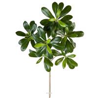 Branche de Pittisporum artificiel H 40 cm 66 feuilles