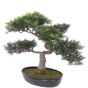 Bonsai factice Arbre a The 40 X 40 CM 217 feuilles