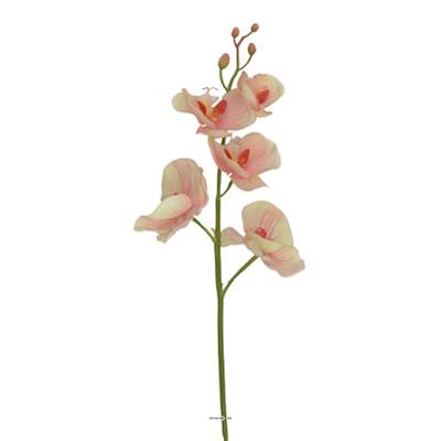 Orchidee Phalaenopsis Ines Peche 77cm haut de gamme latex