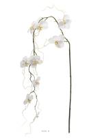 Orchidee artificielle retombante H 110 cm 9 fleurons originale Blanc neige