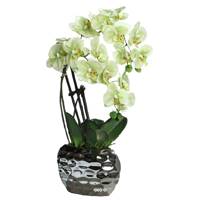 Orchidee artificielle 3 hampes en pot ceramique Argent H 55 cm Crème vert